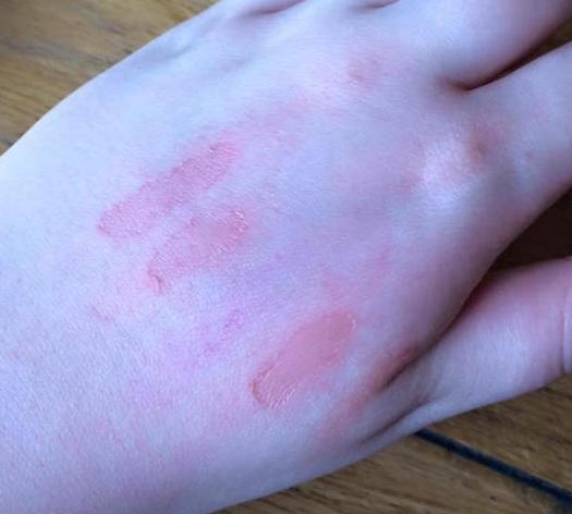 12969425_10209613012386782_1877336845_n