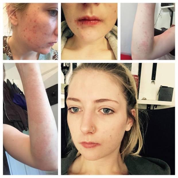 12992811_865823506873442_447389776_n